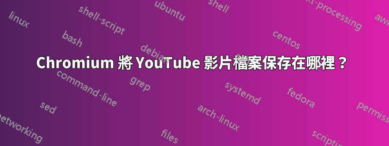 Chromium 將 YouTube 影片檔案保存在哪裡？