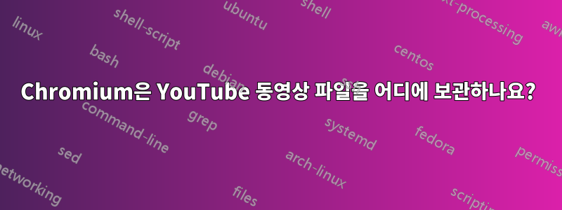 Chromium은 YouTube 동영상 파일을 어디에 보관하나요?