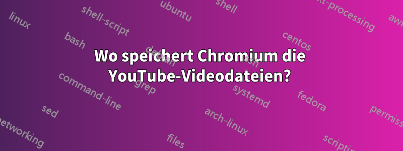 Wo speichert Chromium die YouTube-Videodateien?