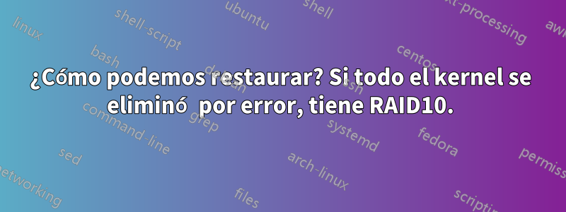 ¿Cómo podemos restaurar? Si todo el kernel se eliminó por error, tiene RAID10.