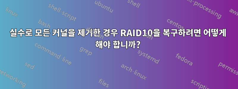 실수로 모든 커널을 제거한 경우 RAID10을 복구하려면 어떻게 해야 합니까?