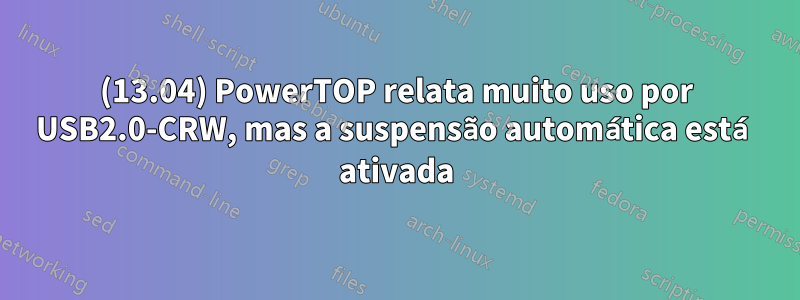 (13.04) PowerTOP relata muito uso por USB2.0-CRW, mas a suspensão automática está ativada