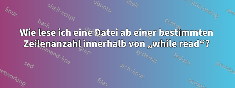 Wie lese ich eine Datei ab einer bestimmten Zeilenanzahl innerhalb von „while read“?