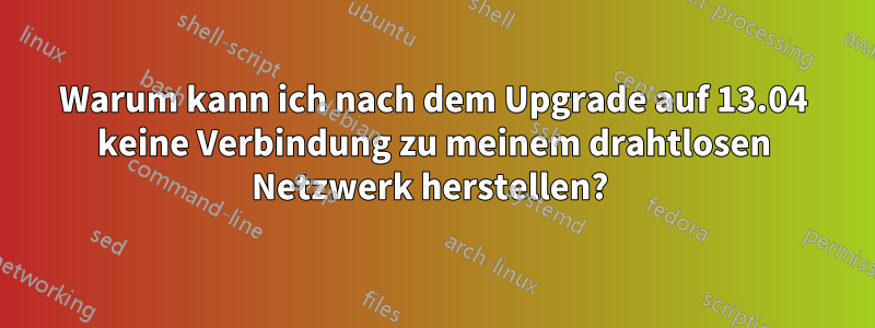Warum kann ich nach dem Upgrade auf 13.04 keine Verbindung zu meinem drahtlosen Netzwerk herstellen? 