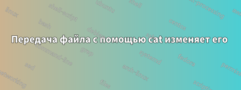 Передача файла с помощью cat изменяет его