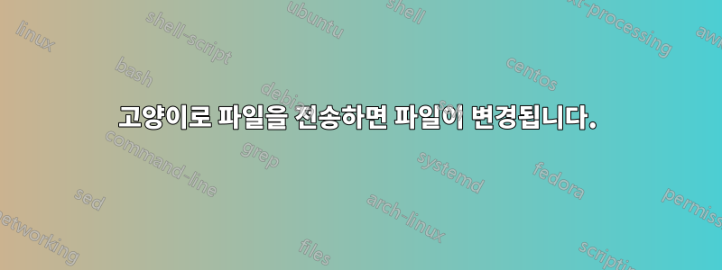 고양이로 파일을 전송하면 파일이 변경됩니다.