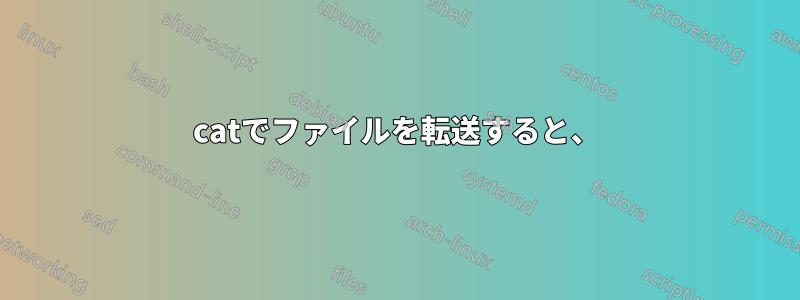 catでファイルを転送すると、