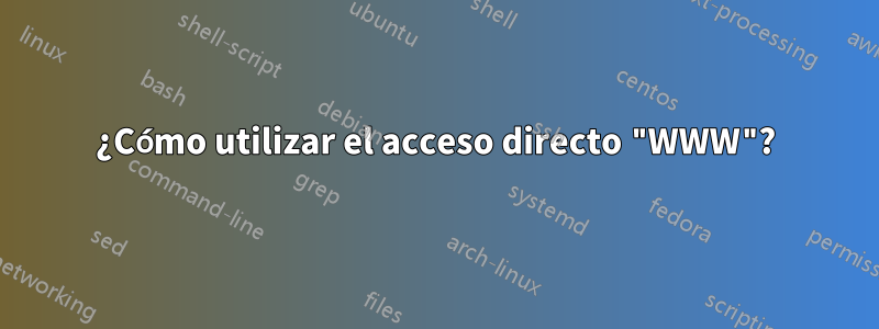 ¿Cómo utilizar el acceso directo "WWW"?