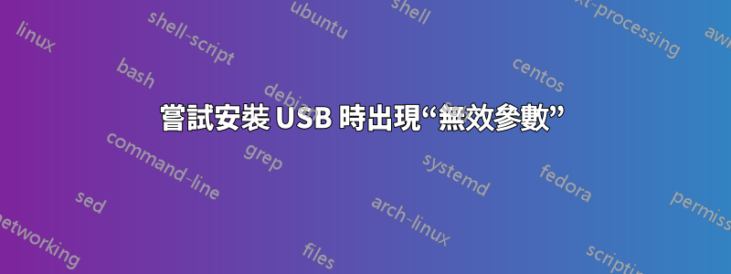 嘗試安裝 USB 時出現“無效參數”