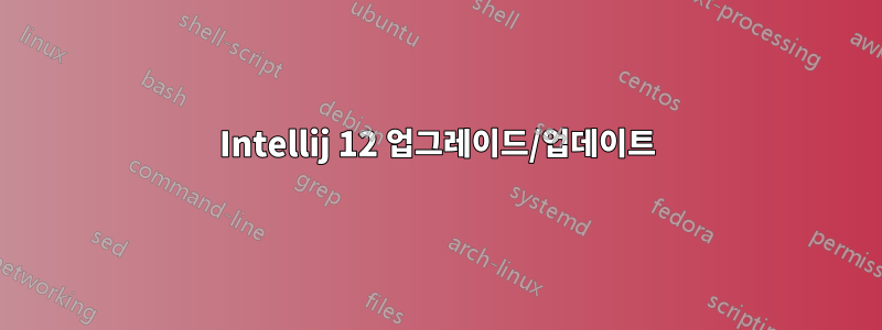 Intellij 12 업그레이드/업데이트