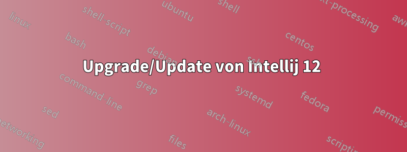Upgrade/Update von Intellij 12