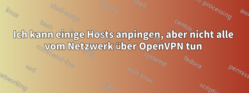 Ich kann einige Hosts anpingen, aber nicht alle vom Netzwerk über OpenVPN tun