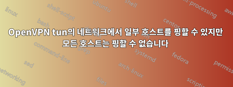 OpenVPN tun의 네트워크에서 일부 호스트를 핑할 수 있지만 모든 호스트는 핑할 수 없습니다