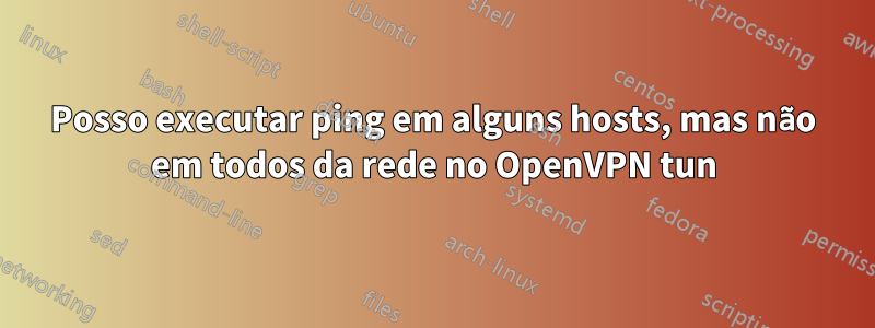 Posso executar ping em alguns hosts, mas não em todos da rede no OpenVPN tun