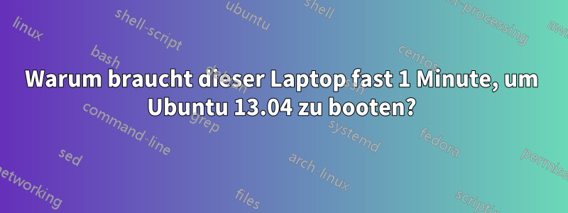 Warum braucht dieser Laptop fast 1 Minute, um Ubuntu 13.04 zu booten?