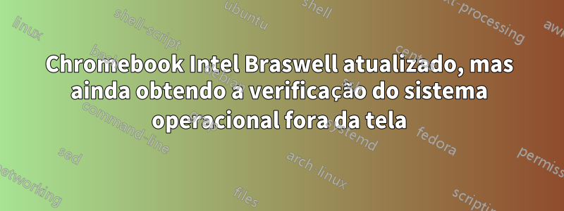 Chromebook Intel Braswell atualizado, mas ainda obtendo a verificação do sistema operacional fora da tela
