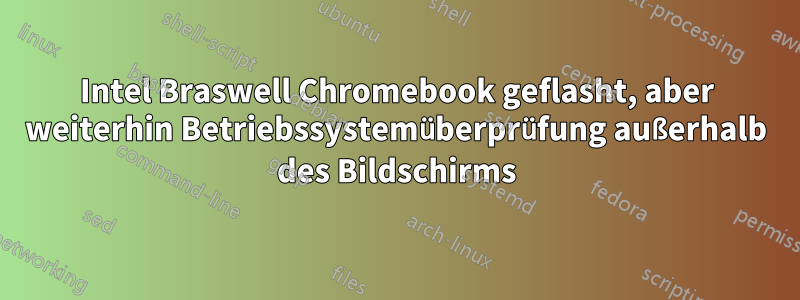 Intel Braswell Chromebook geflasht, aber weiterhin Betriebssystemüberprüfung außerhalb des Bildschirms