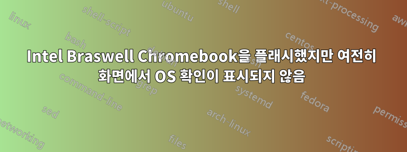Intel Braswell Chromebook을 플래시했지만 여전히 화면에서 OS 확인이 표시되지 않음