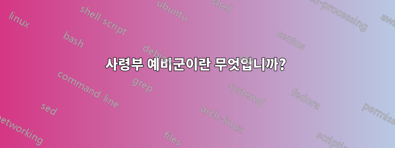 사령부 예비군이란 무엇입니까?