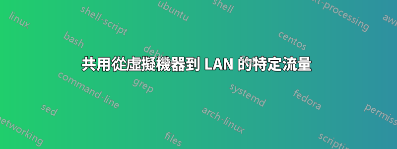 共用從虛擬機器到 LAN 的特定流量