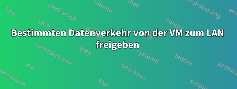 Bestimmten Datenverkehr von der VM zum LAN freigeben