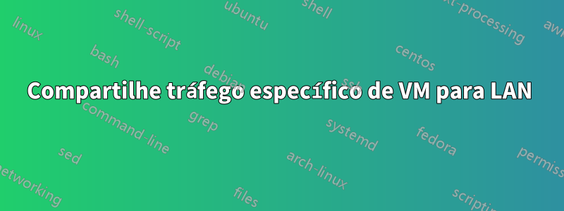 Compartilhe tráfego específico de VM para LAN