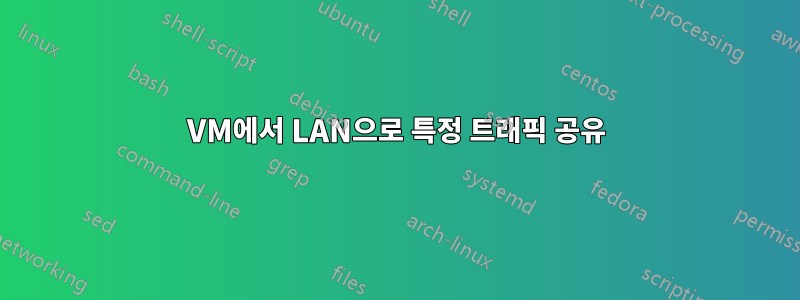 VM에서 LAN으로 특정 트래픽 공유