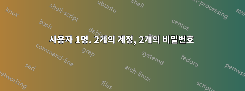 사용자 1명. 2개의 계정, 2개의 비밀번호