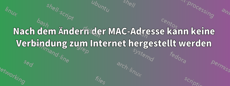Nach dem Ändern der MAC-Adresse kann keine Verbindung zum Internet hergestellt werden