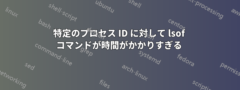 特定のプロセス ID に対して lsof コマンドが時間がかかりすぎる