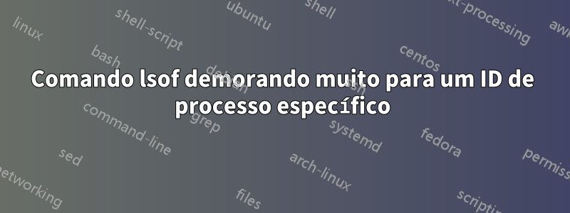 Comando lsof demorando muito para um ID de processo específico
