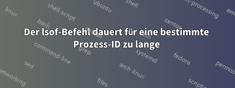 Der lsof-Befehl dauert für eine bestimmte Prozess-ID zu lange