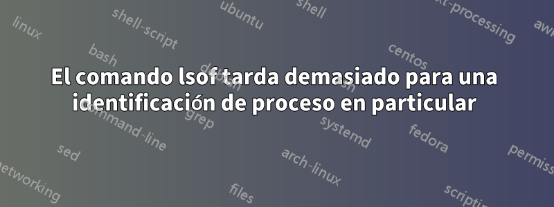 El comando lsof tarda demasiado para una identificación de proceso en particular