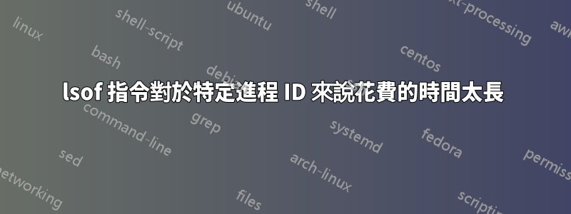 lsof 指令對於特定進程 ID 來說花費的時間太長