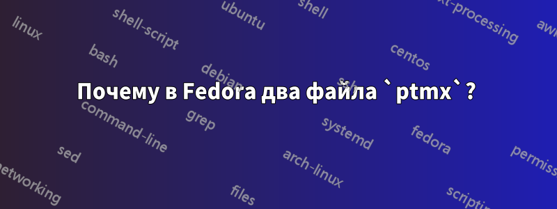 Почему в Fedora два файла `ptmx`?