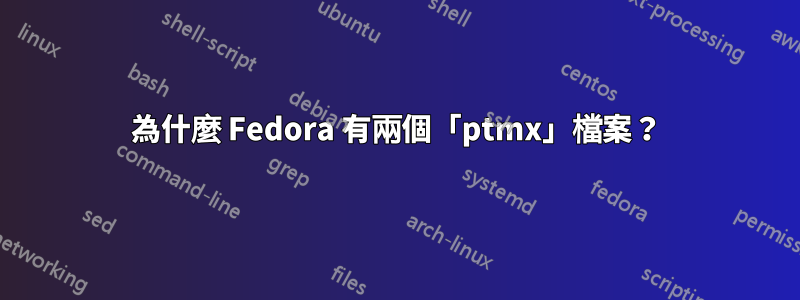 為什麼 Fedora 有兩個「ptmx」檔案?