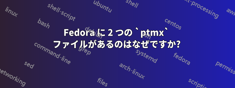 Fedora に 2 つの `ptmx` ファイルがあるのはなぜですか?