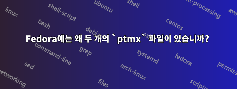 Fedora에는 왜 두 개의 `ptmx` 파일이 있습니까?