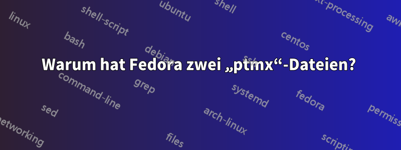 Warum hat Fedora zwei „ptmx“-Dateien?