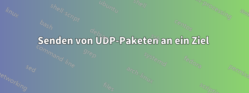 Senden von UDP-Paketen an ein Ziel