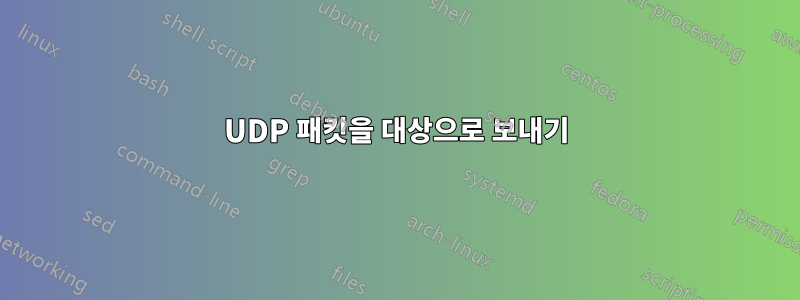 UDP 패킷을 대상으로 보내기