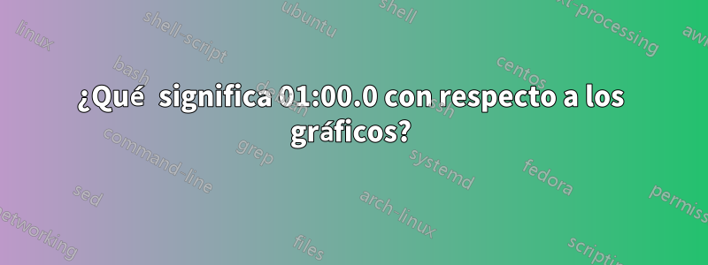 ¿Qué significa 01:00.0 con respecto a los gráficos?
