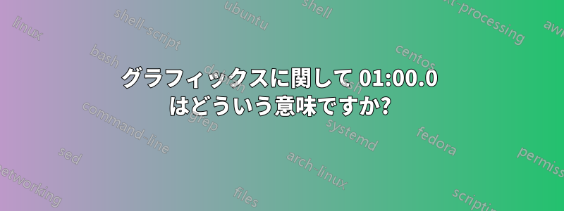 グラフィックスに関して 01:00.0 はどういう意味ですか?