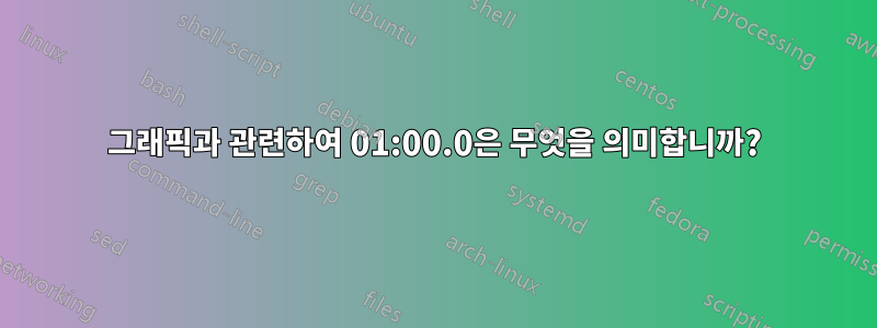 그래픽과 관련하여 01:00.0은 무엇을 의미합니까?