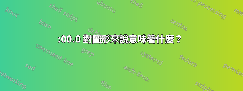 01:00.0 對圖形來說意味著什麼？