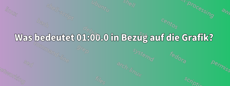 Was bedeutet 01:00.0 in Bezug auf die Grafik?