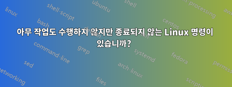 아무 작업도 수행하지 않지만 종료되지 않는 Linux 명령이 있습니까? 