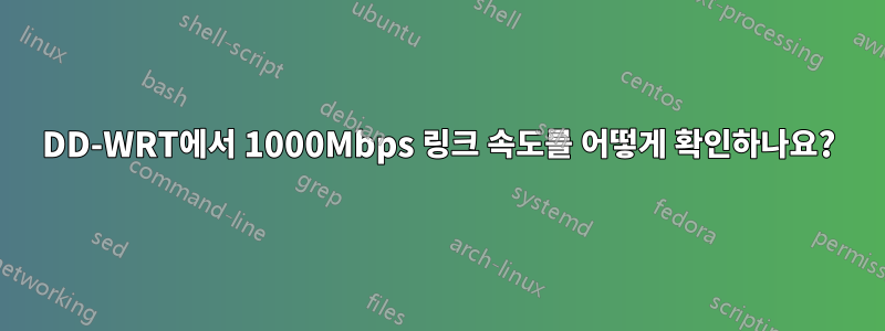 DD-WRT에서 1000Mbps 링크 속도를 어떻게 확인하나요?