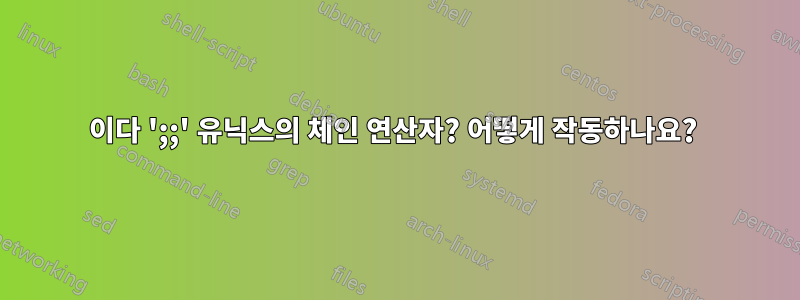 이다 ';;' 유닉스의 체인 연산자? 어떻게 작동하나요? 