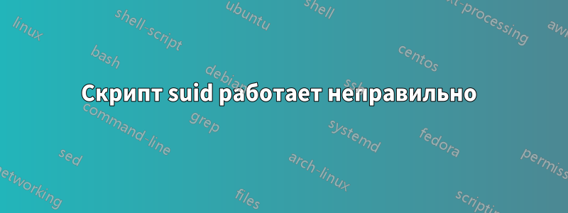 Скрипт suid работает неправильно